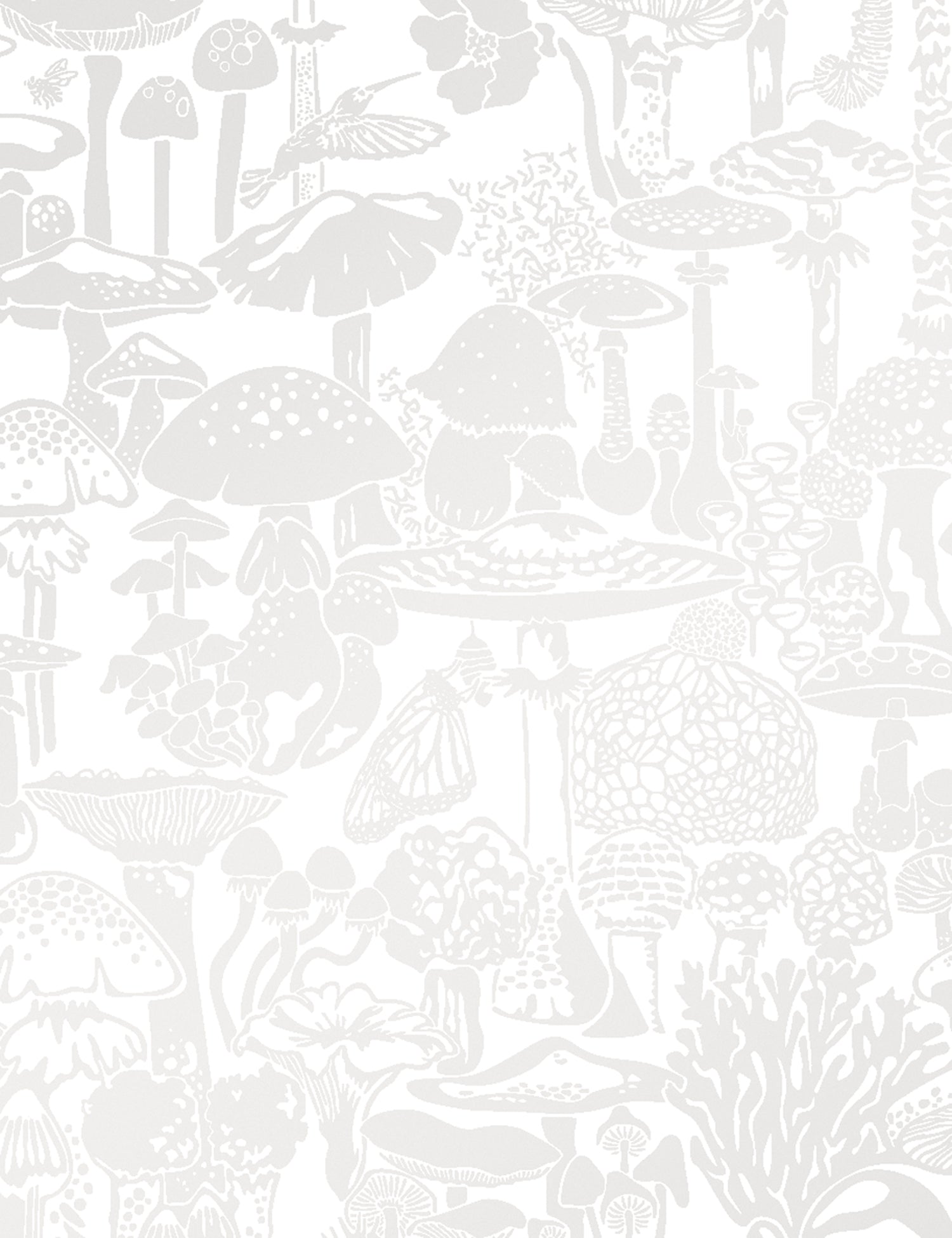Mushroom City Mist