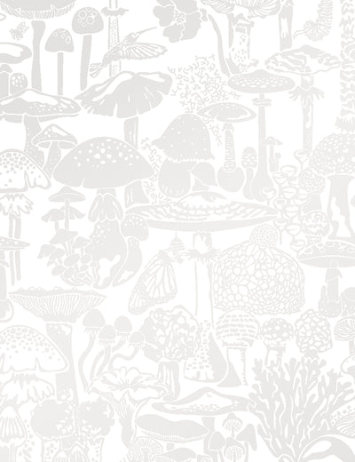 Mushroom City Mist