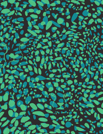 Cheetah Vision Nocturnal