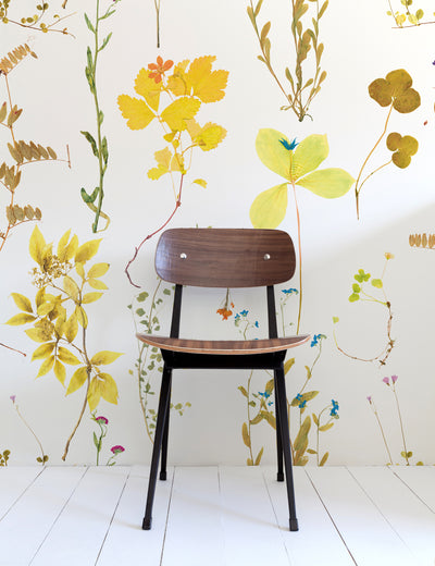 Flora Canary