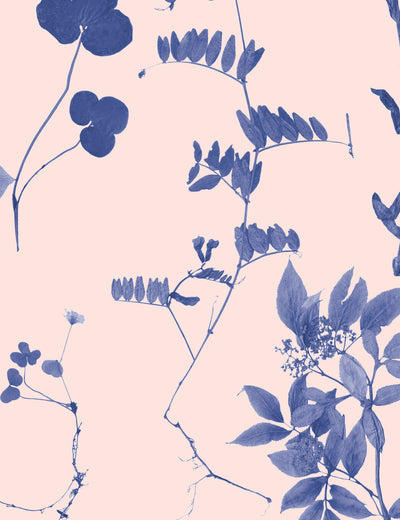 Flora Euphoria