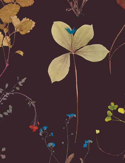 Flora Terra