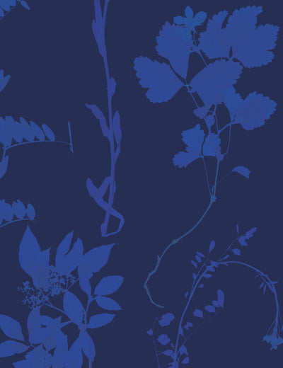 Flora Umbra