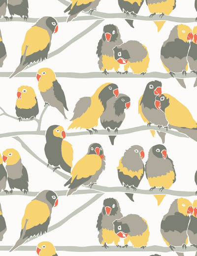 Lovebirds Paradise