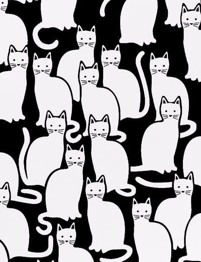 Shadowcat Contrast