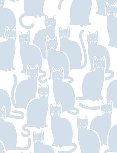 Shadowcat Bluebell