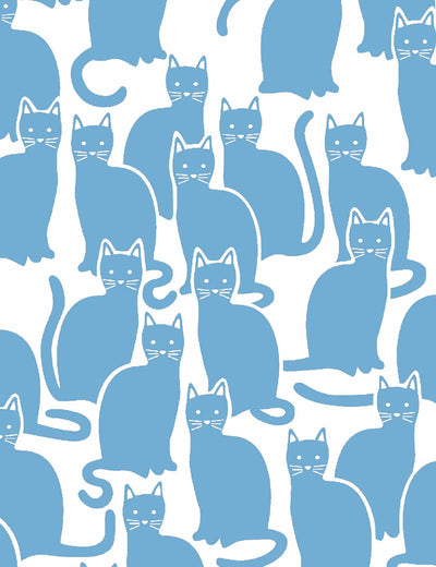 Shadowcat Blueberry
