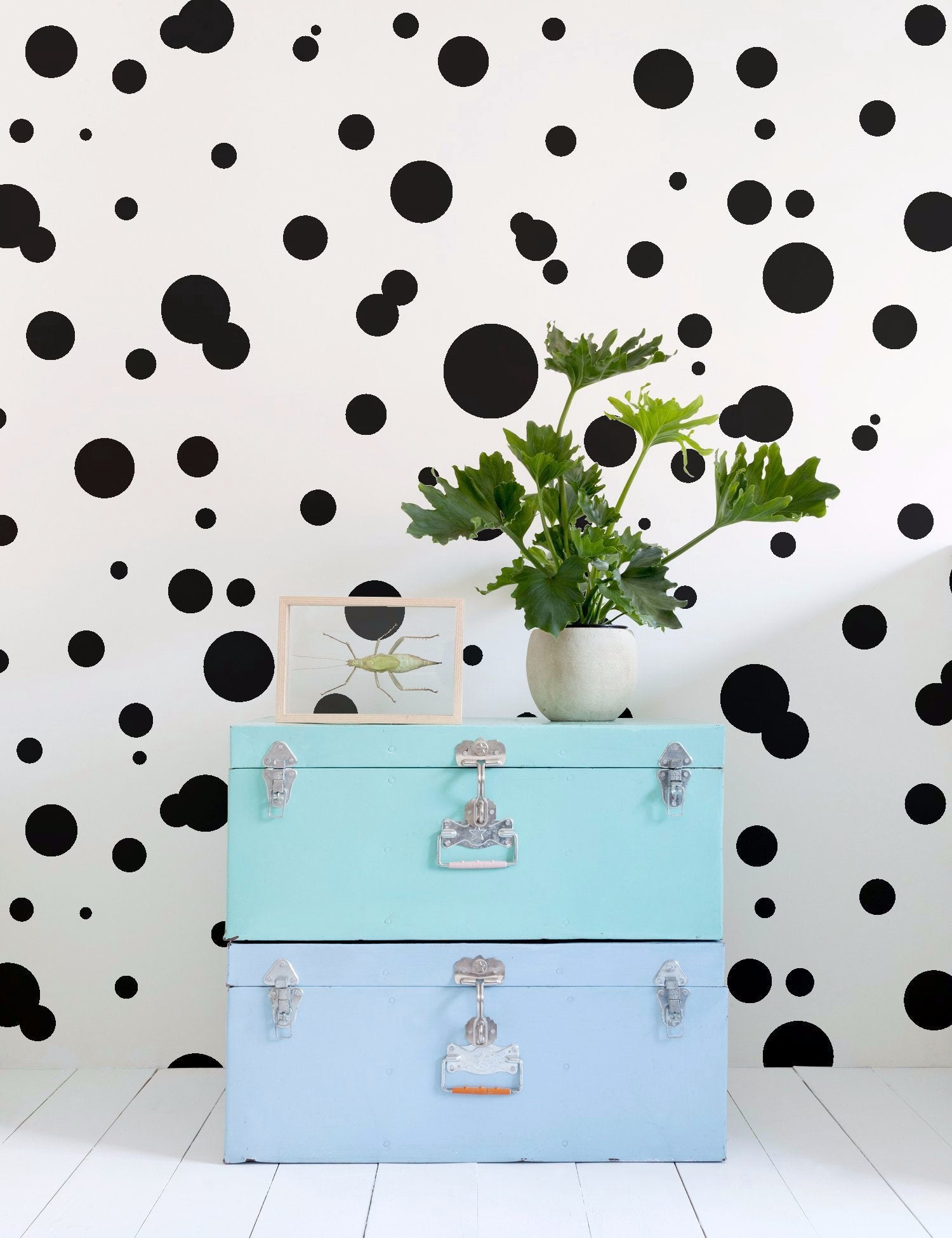 Space Dots Charcoal
