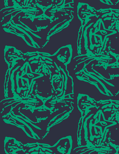 Star Tiger Elvira