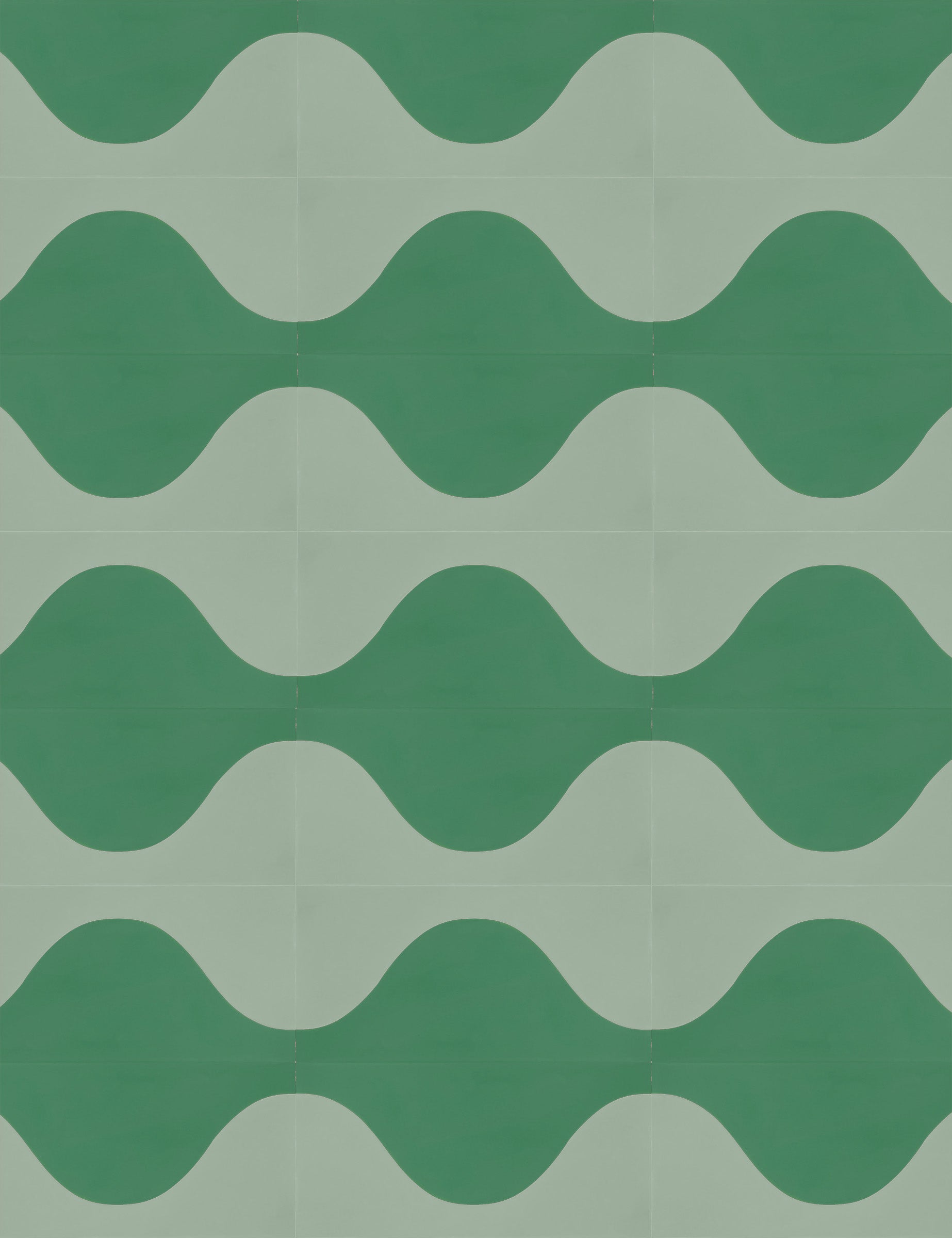 Timewave Eucalyptus Fern