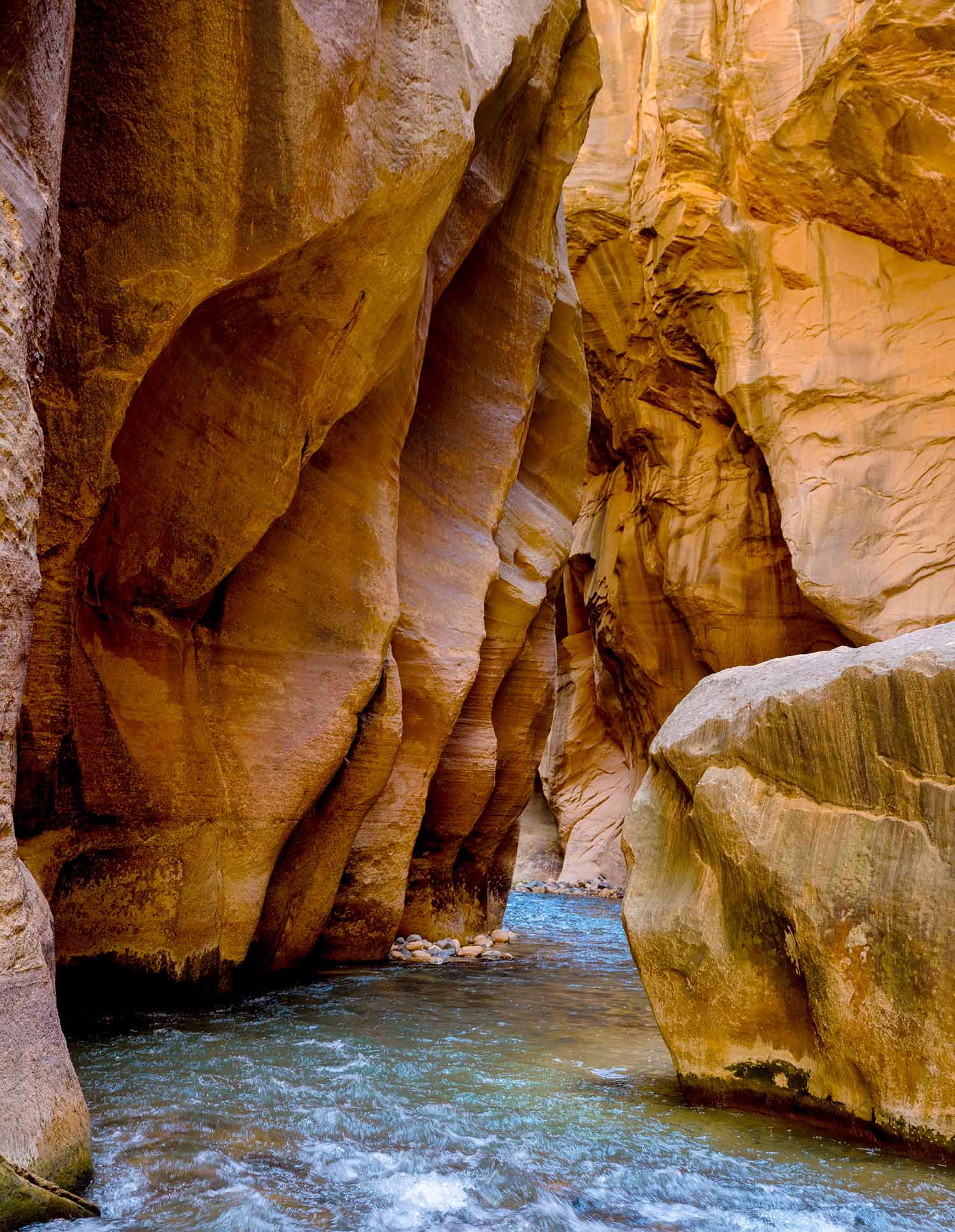 'Wall Street' by Dinesh Boaz