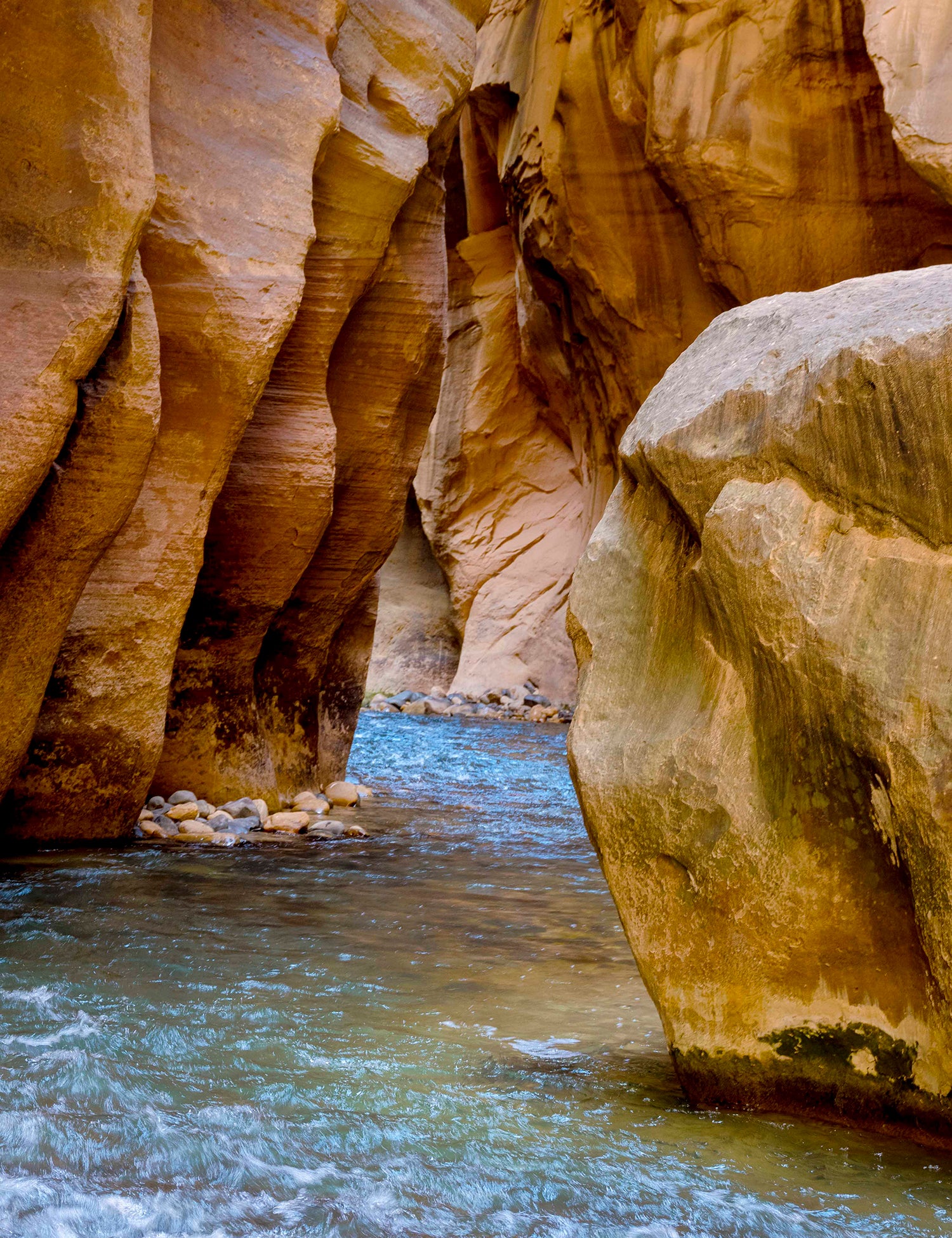 'Wall Street' by Dinesh Boaz