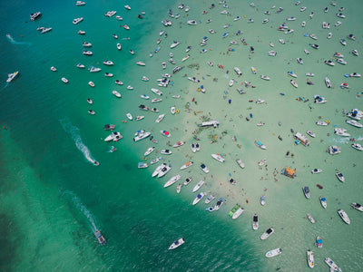 'We Came to Party' by Dinesh Boaz