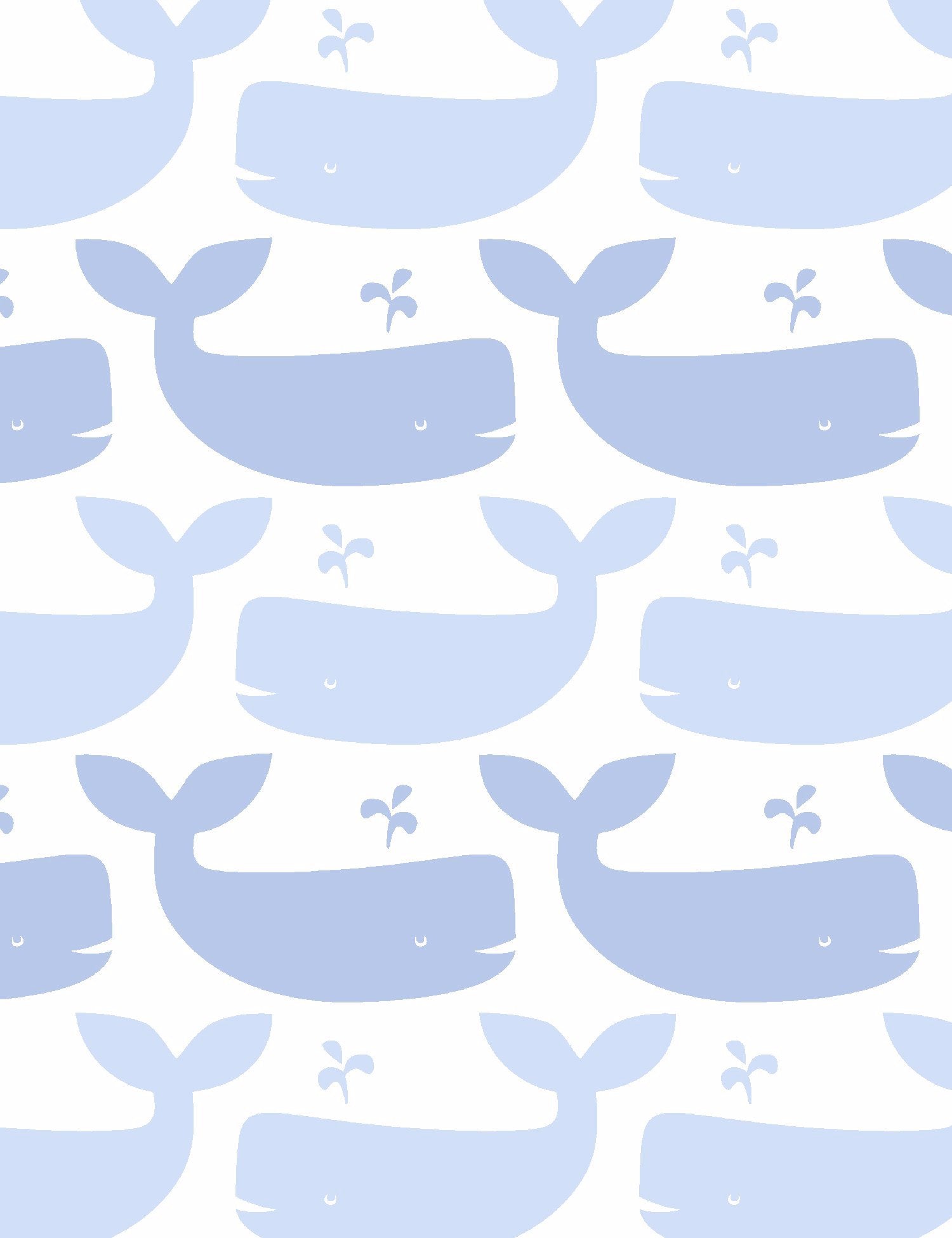 Whales Foggy