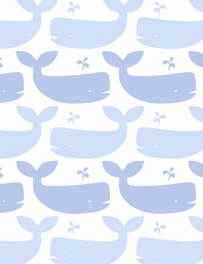Whales Foggy