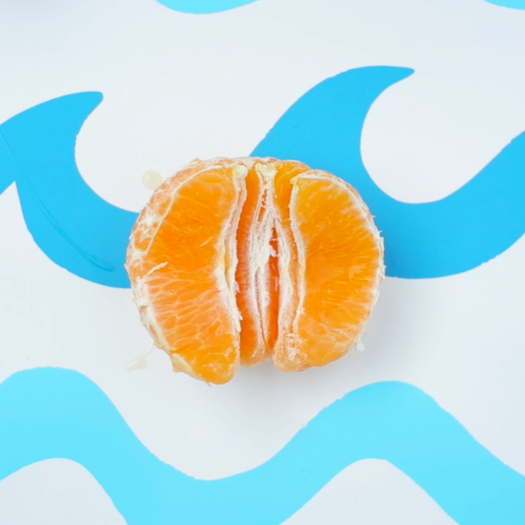 Tegan and Sara: Stop Desire Music Video