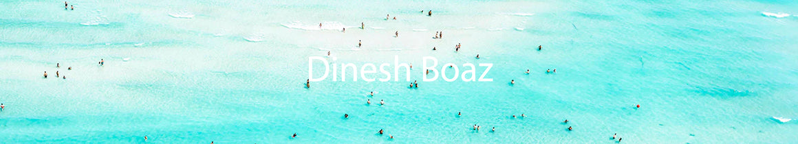Dinesh Boaz