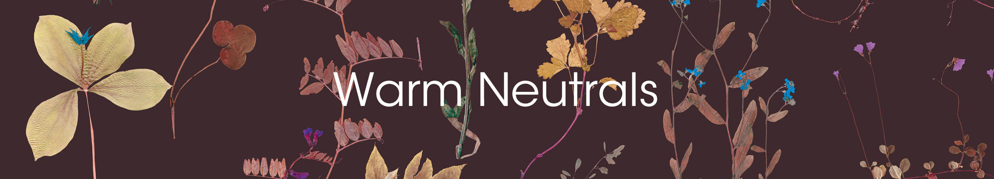 Warm Neutrals