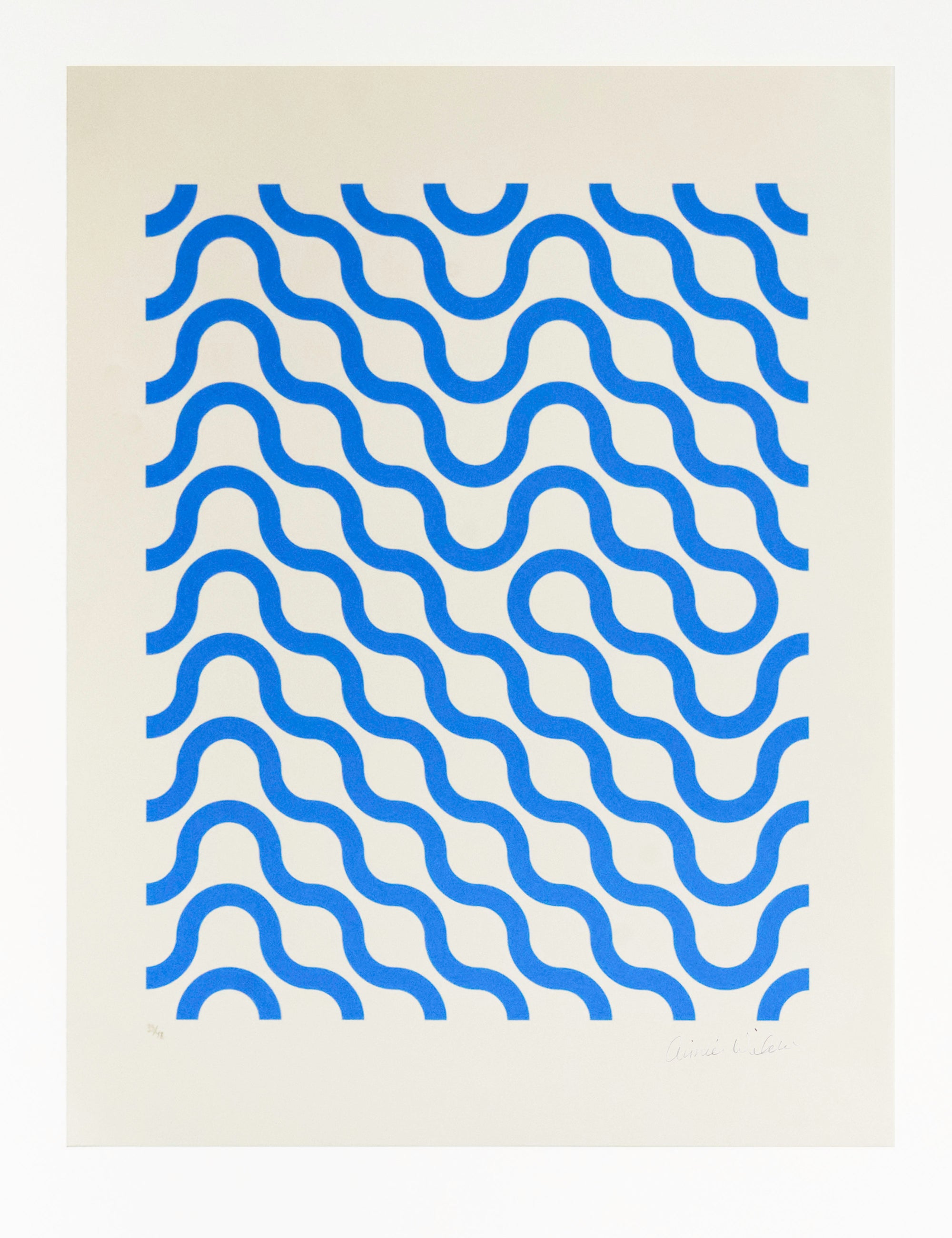 Garden - Silkscreen Print on Paper