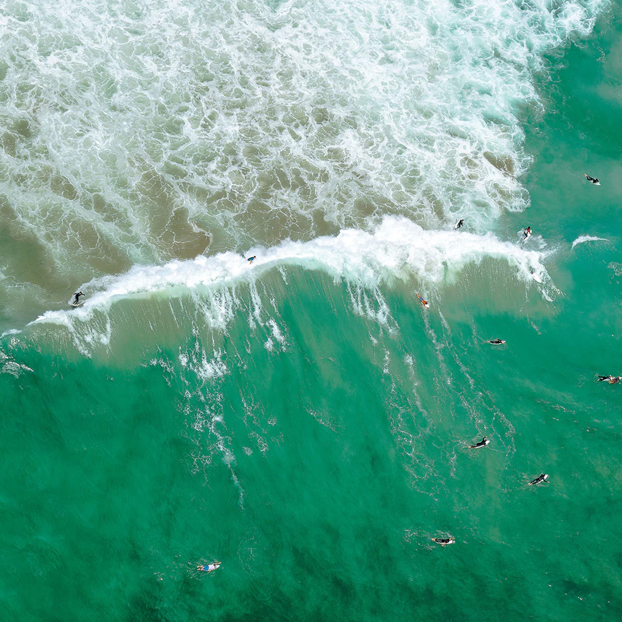 'Leadtime' by Dinesh Boaz