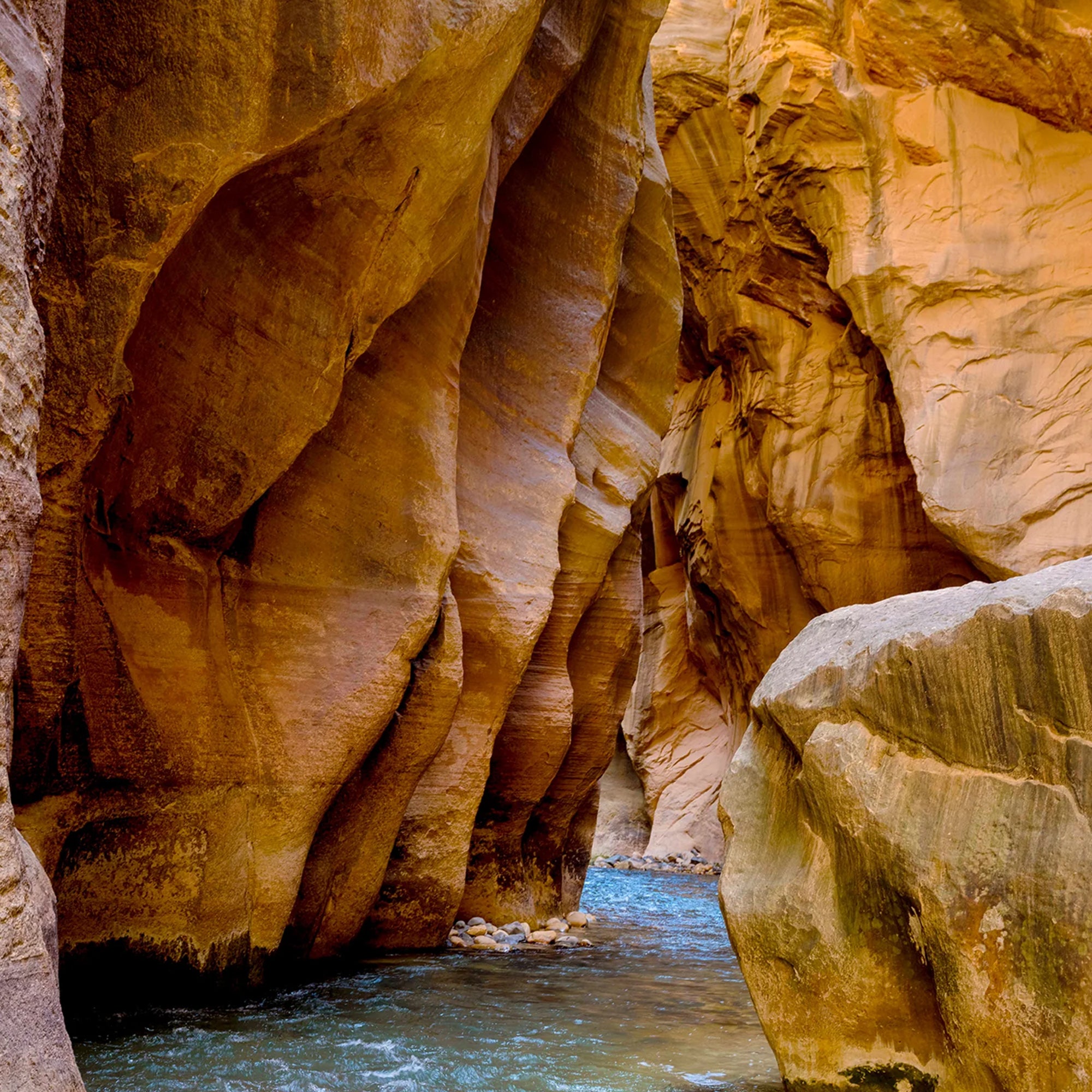 'Wall Street' by Dinesh Boaz