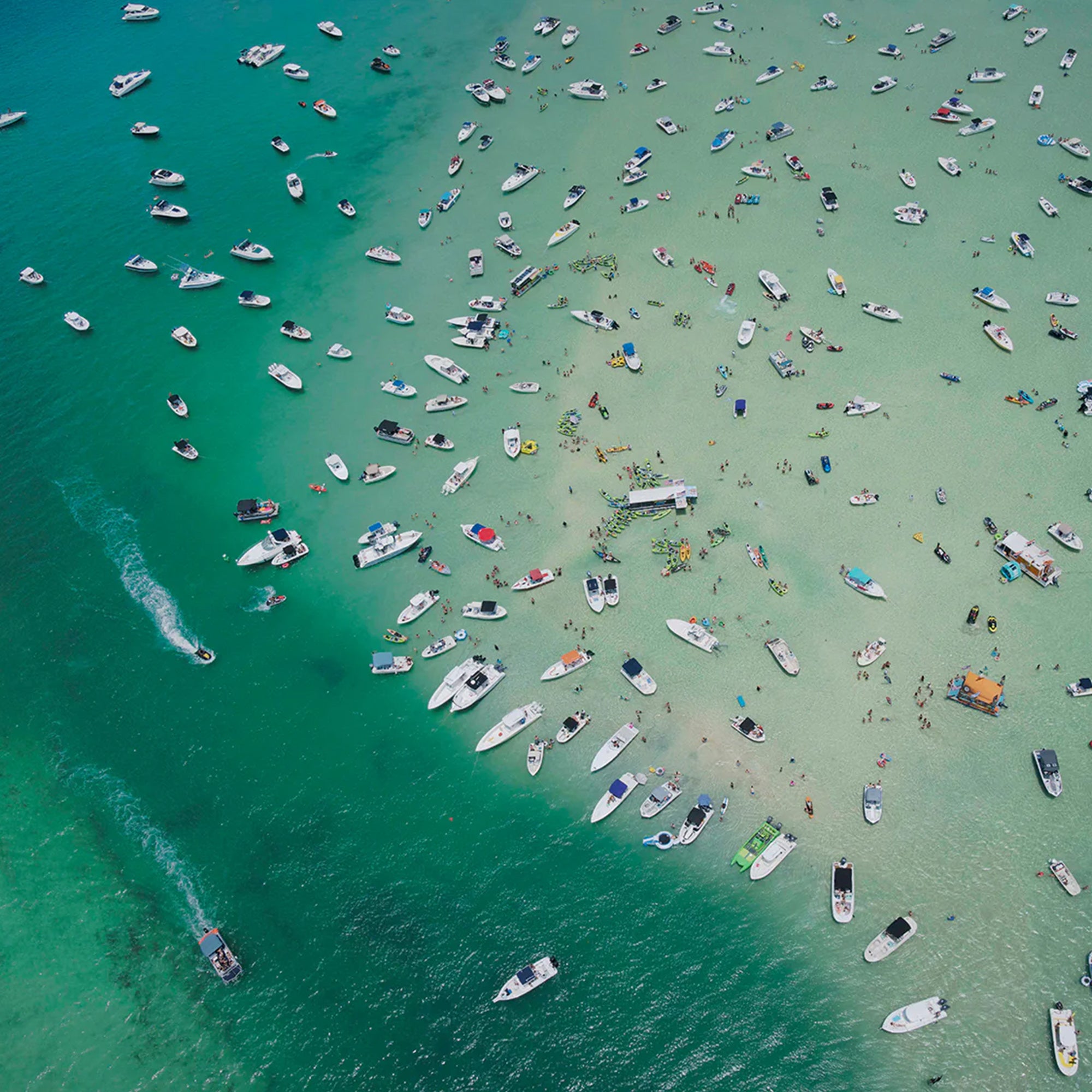 'We Came to Party' by Dinesh Boaz