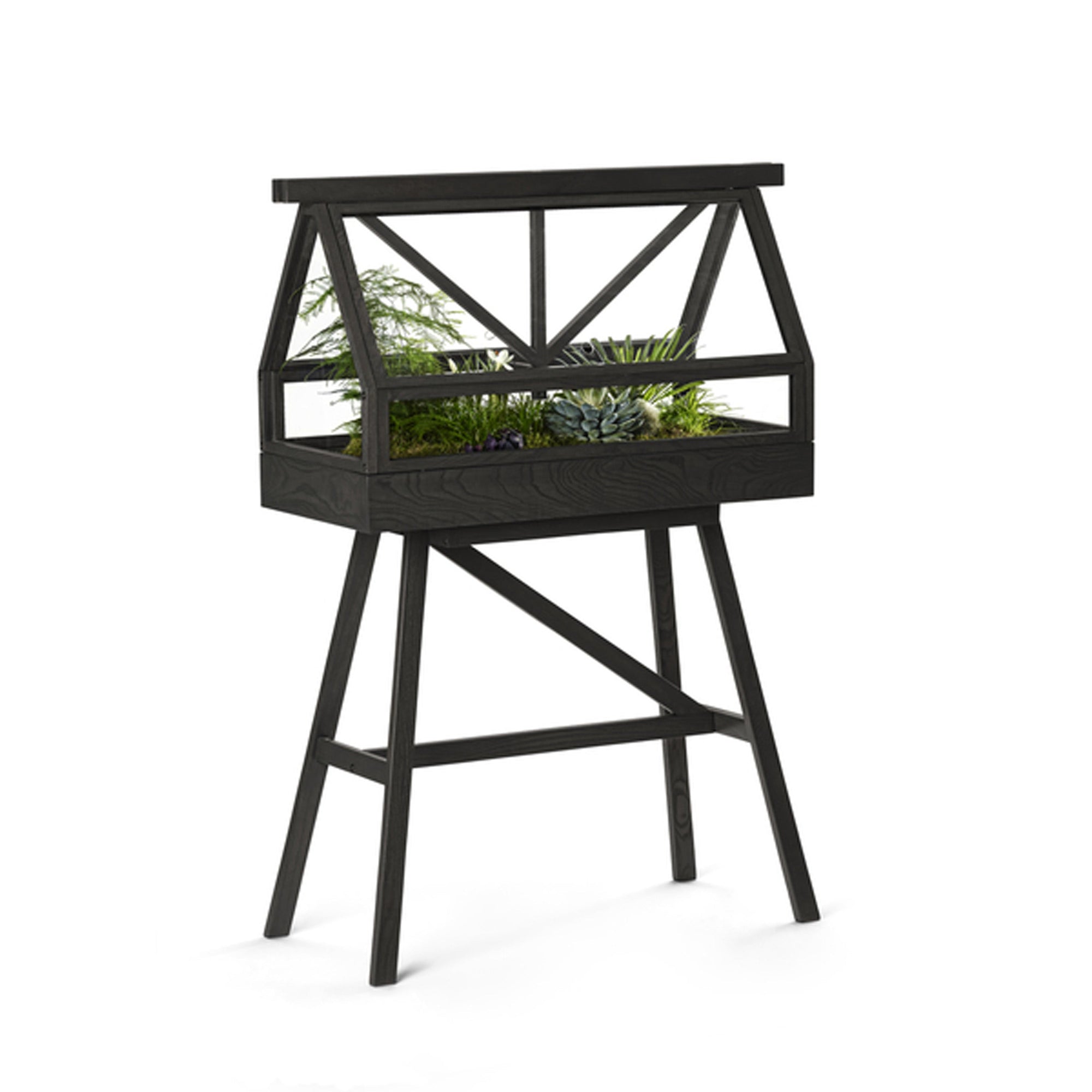 Greenhouse - Black Wood