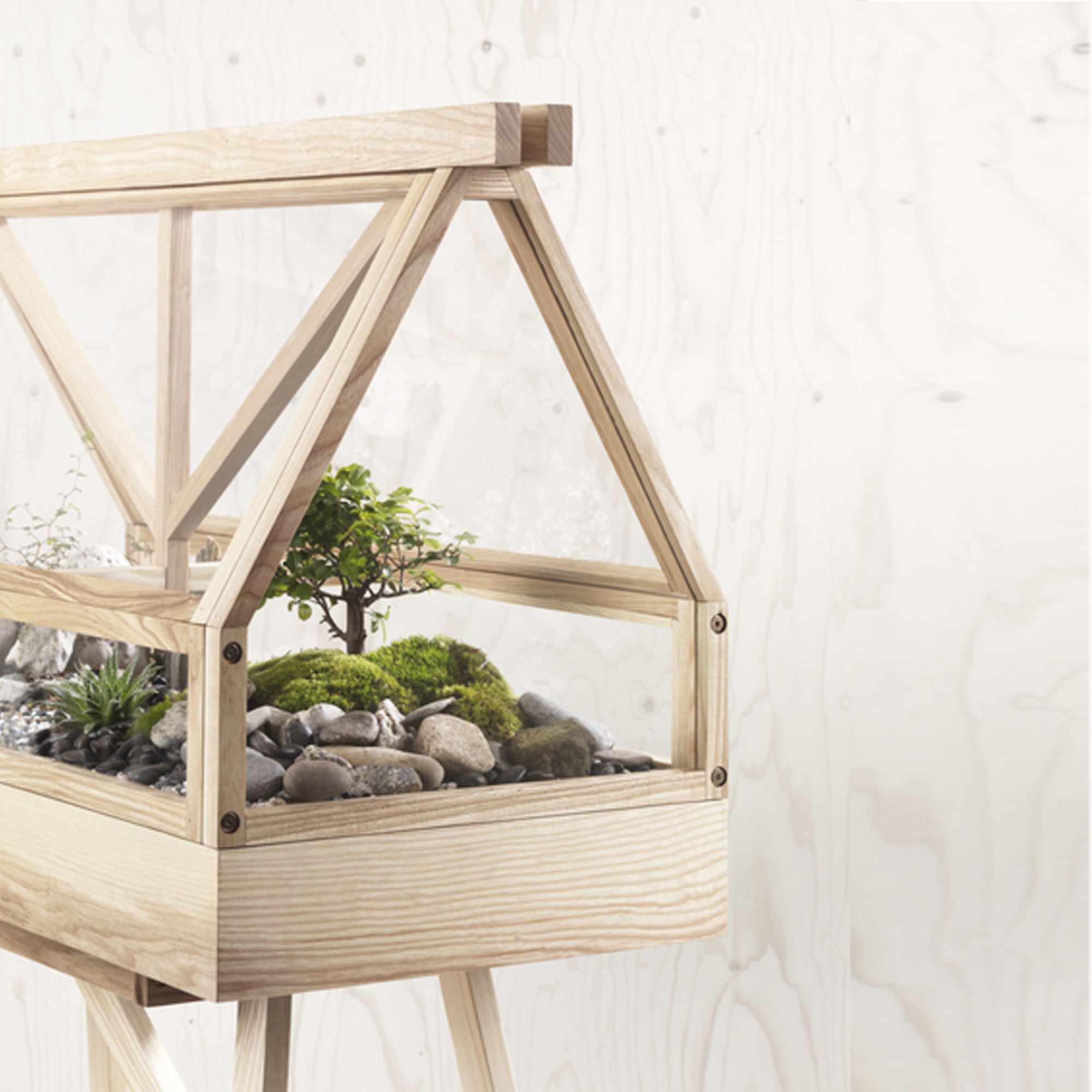 Greenhouse - Oak Wood