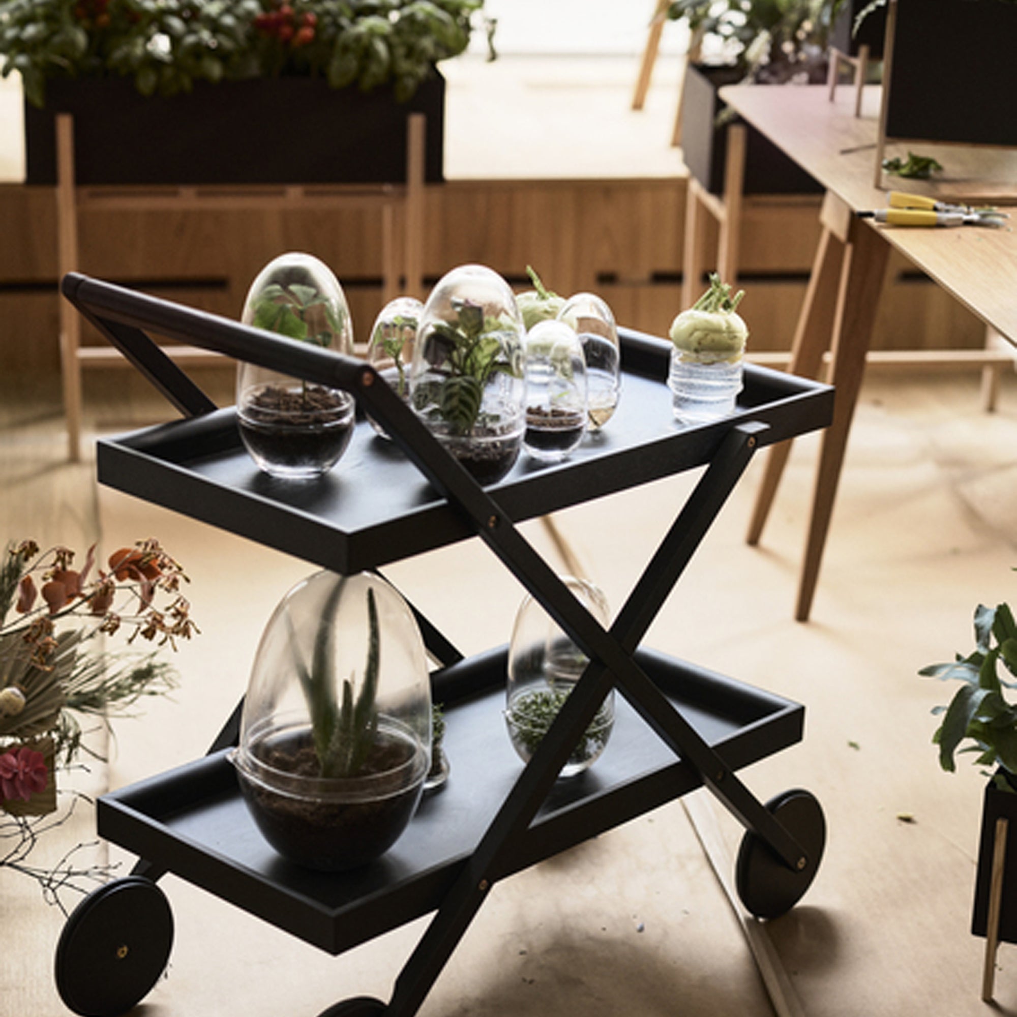 Grow Greenhouse – Set of 3