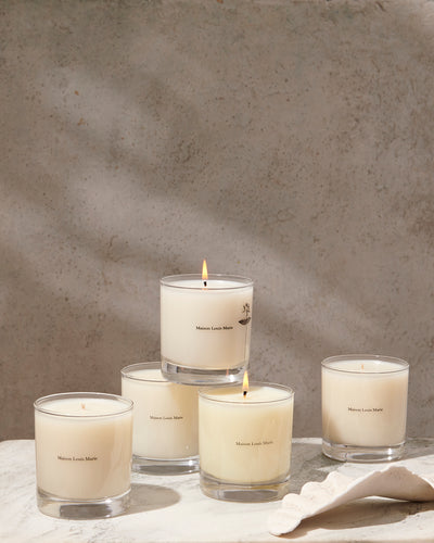 Candle Antidris Cassis by Maison Louis Marie