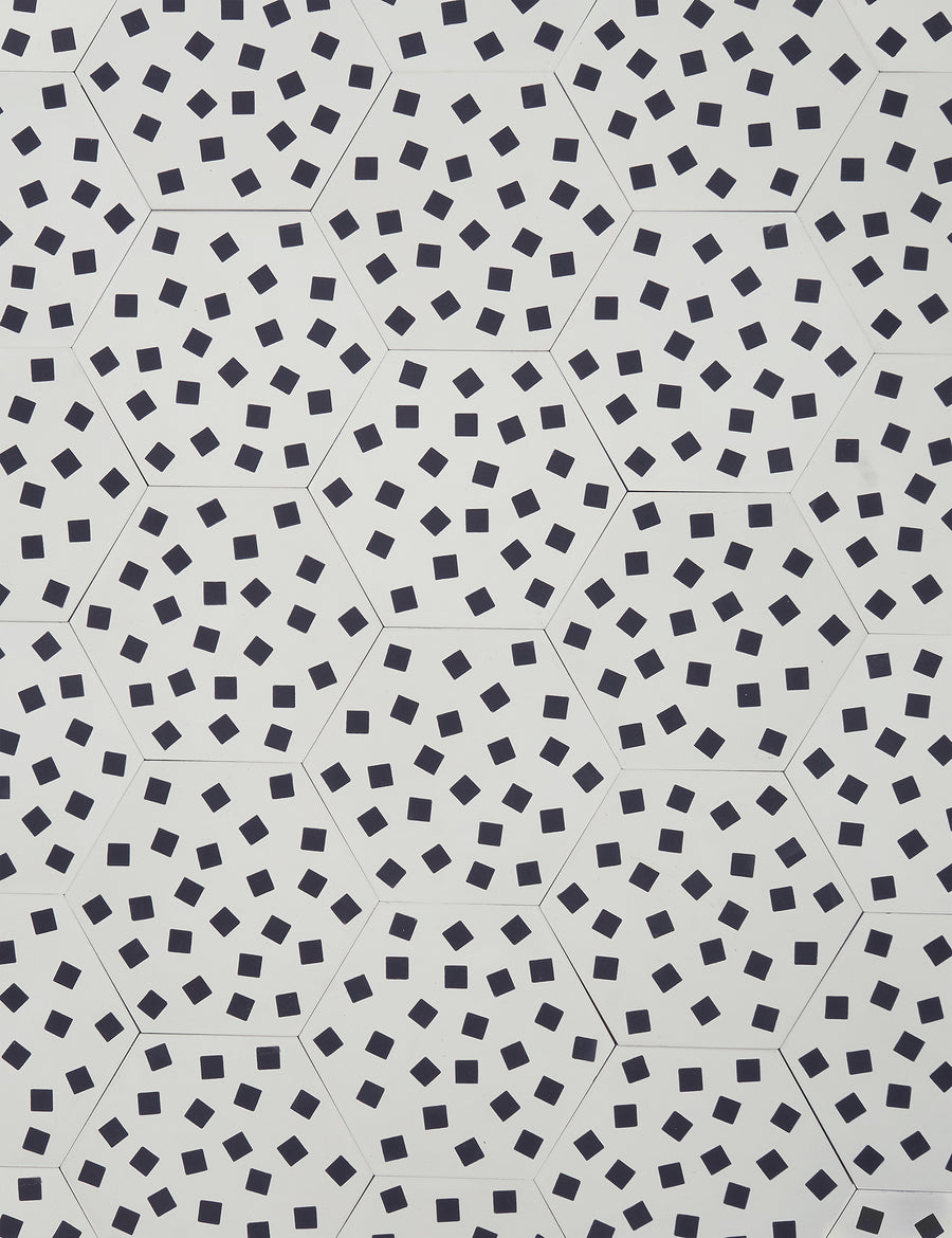 Fragments Ebony Swan