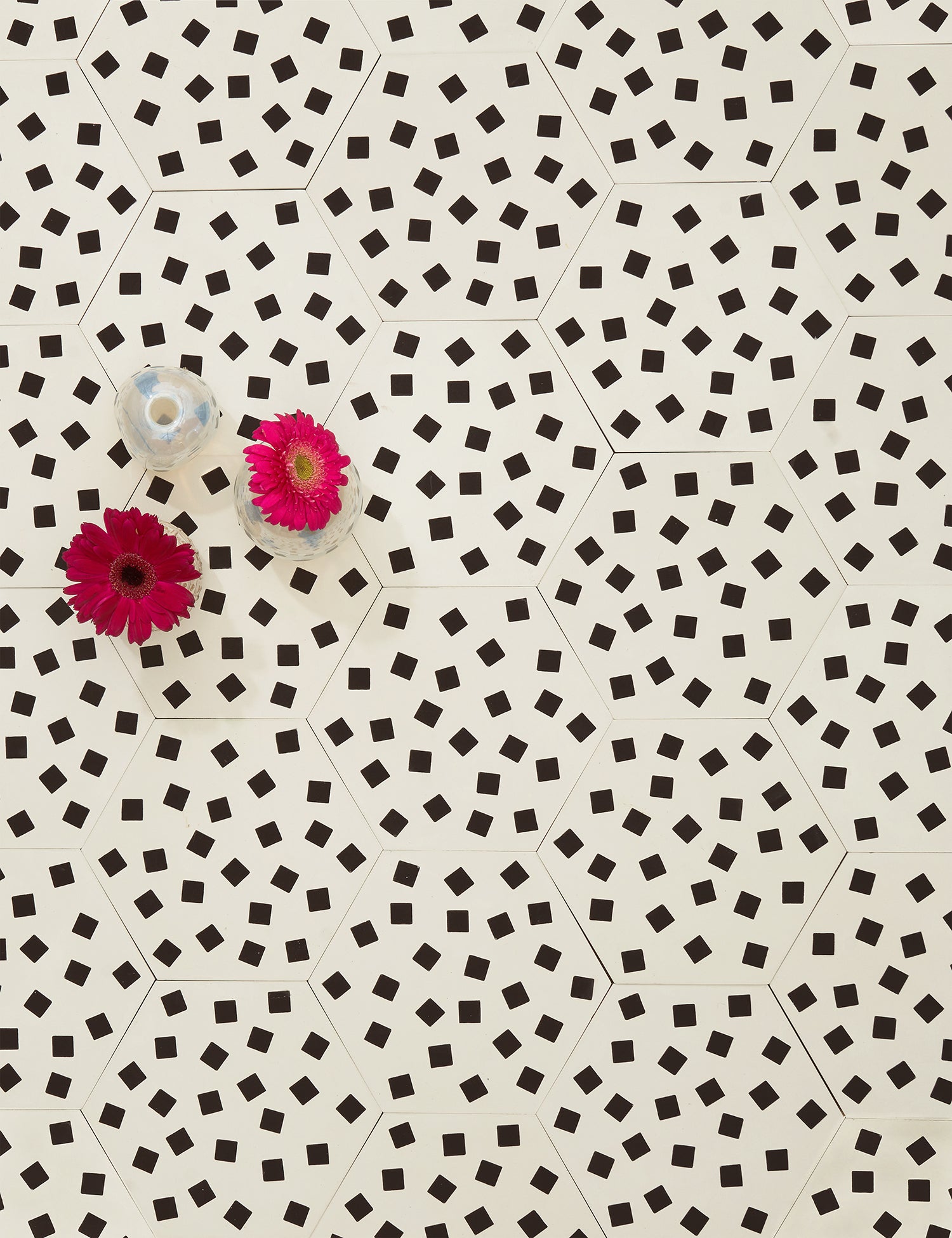 Fragments Ebony Bisque