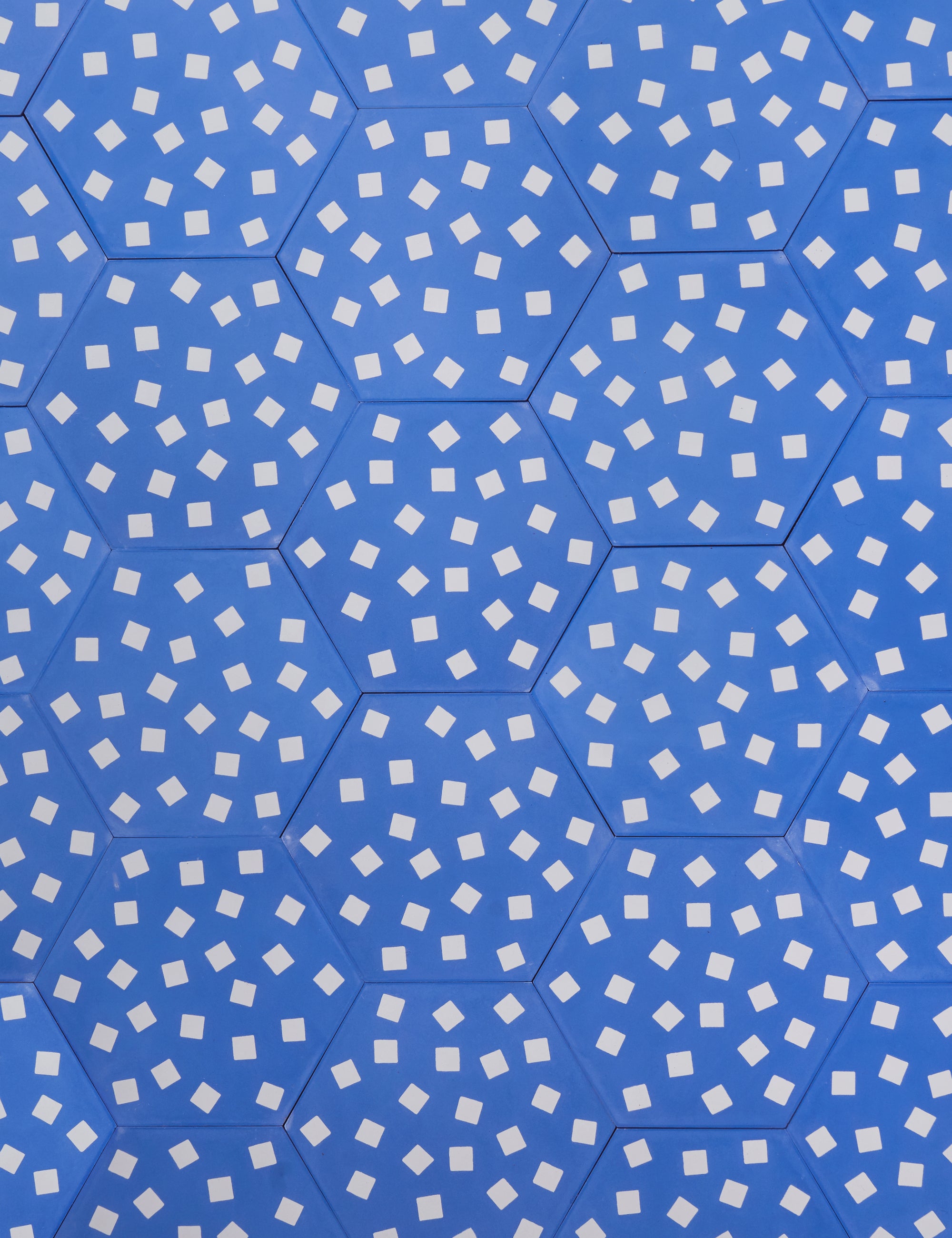 Fragments Azure Swan