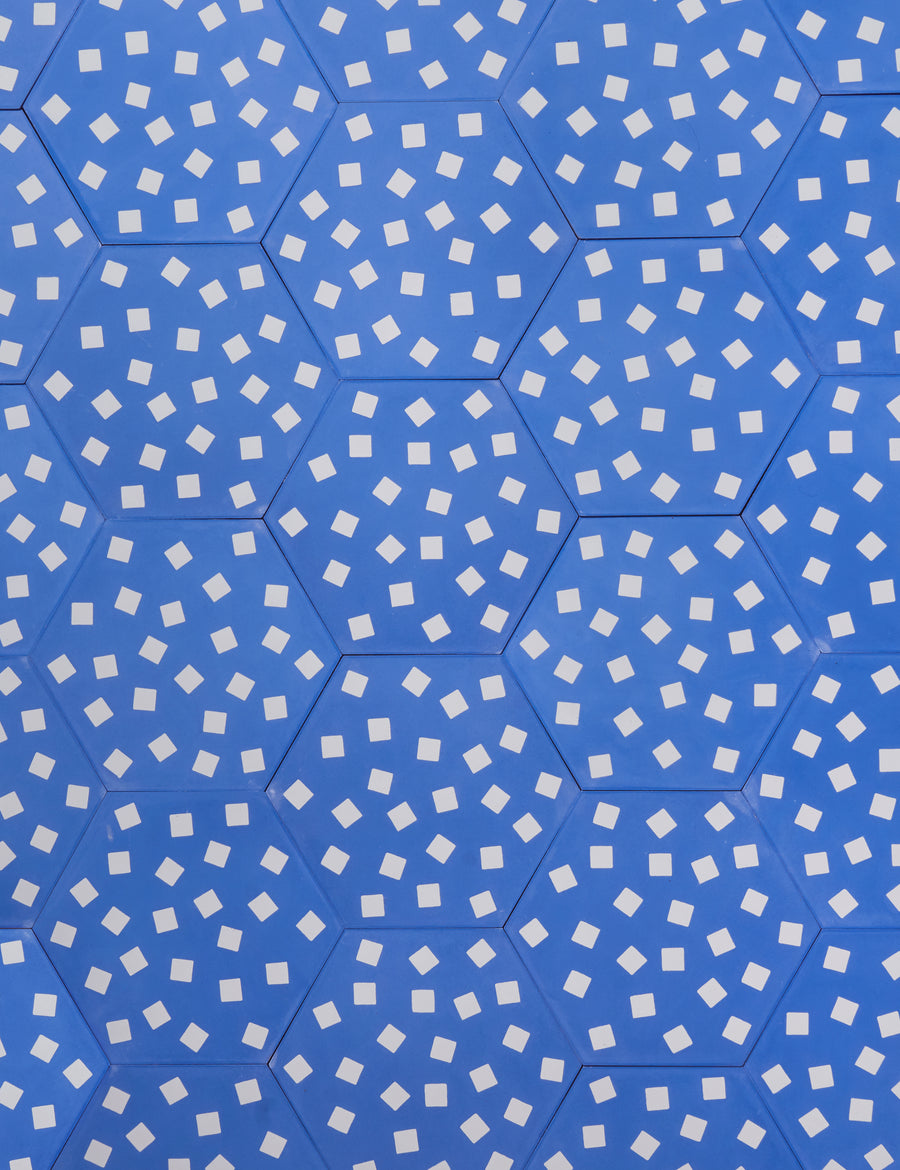 Fragments Azure Swan