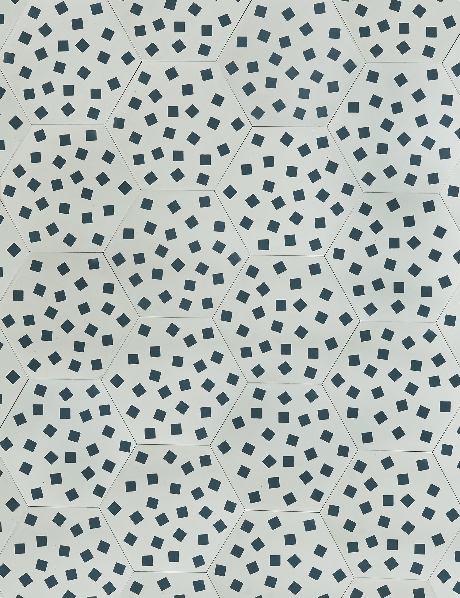 Fragments Snow Shale