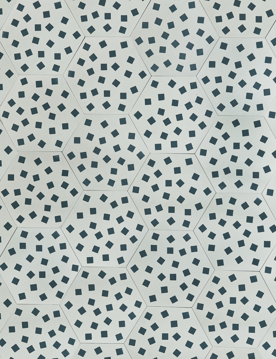 Fragments Snow Shale