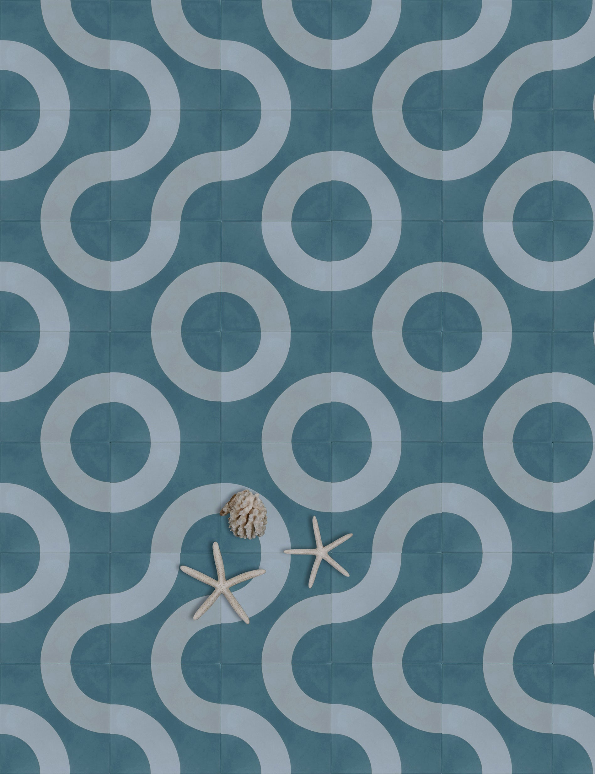 Baby Eucalyptus Thyme