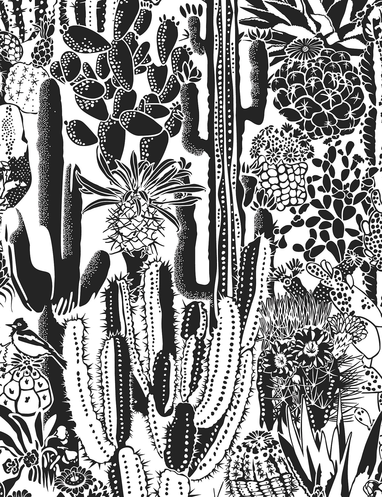 Cactus Spirit Charcoal