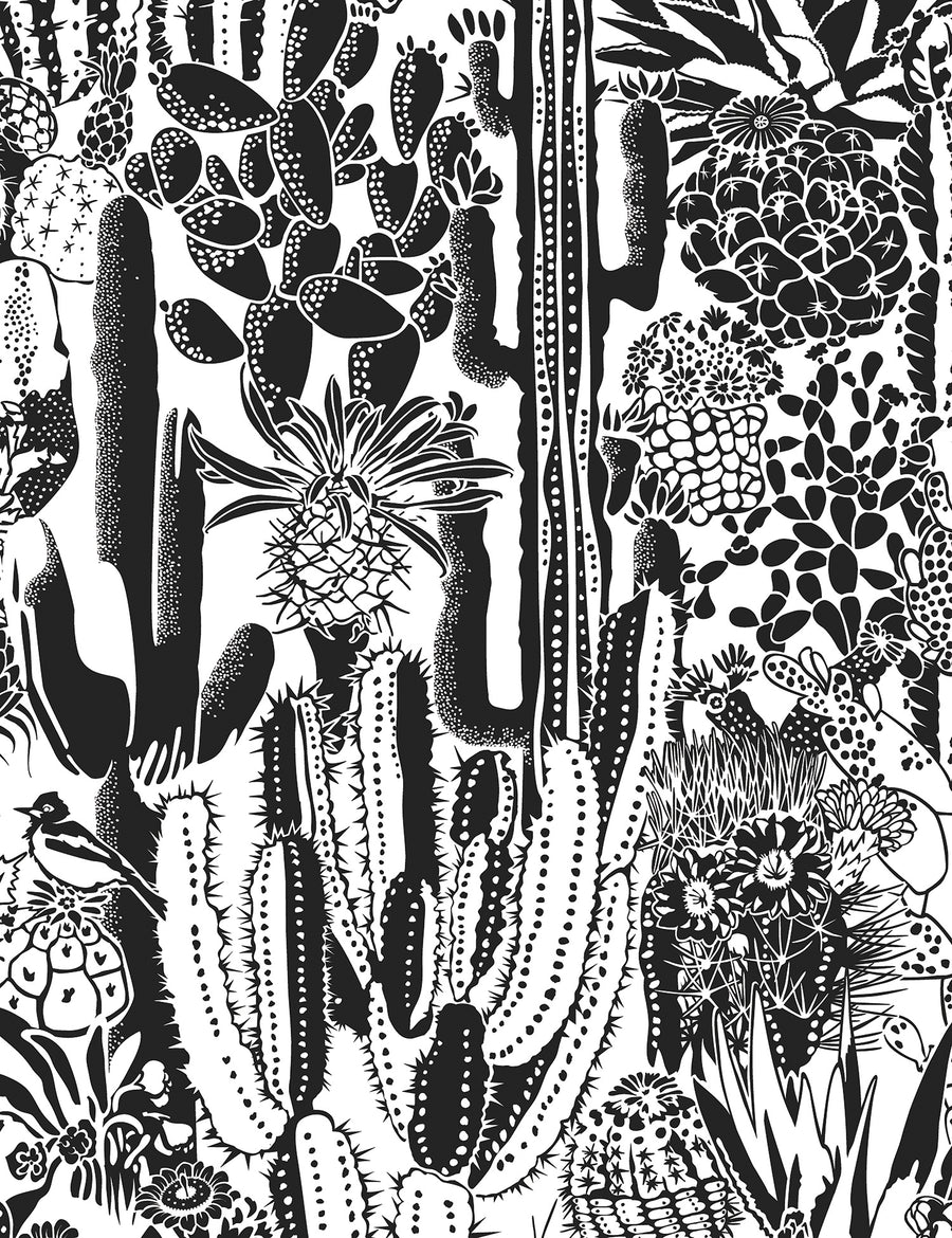 Cactus Spirit Charcoal