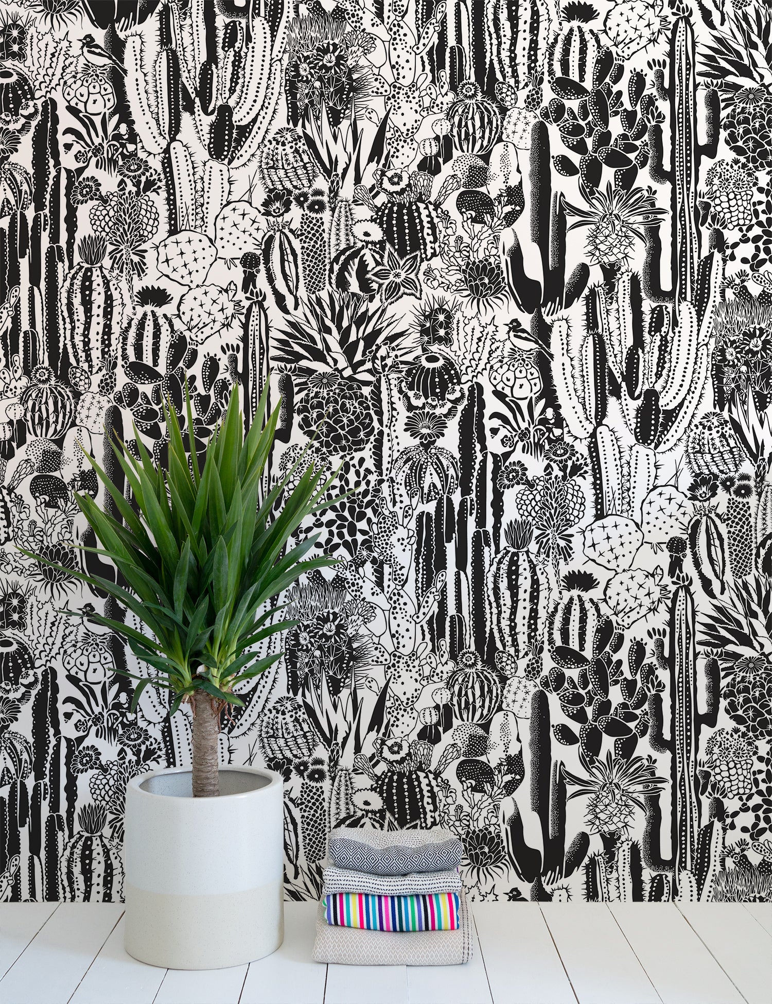 Cactus Spirit Charcoal