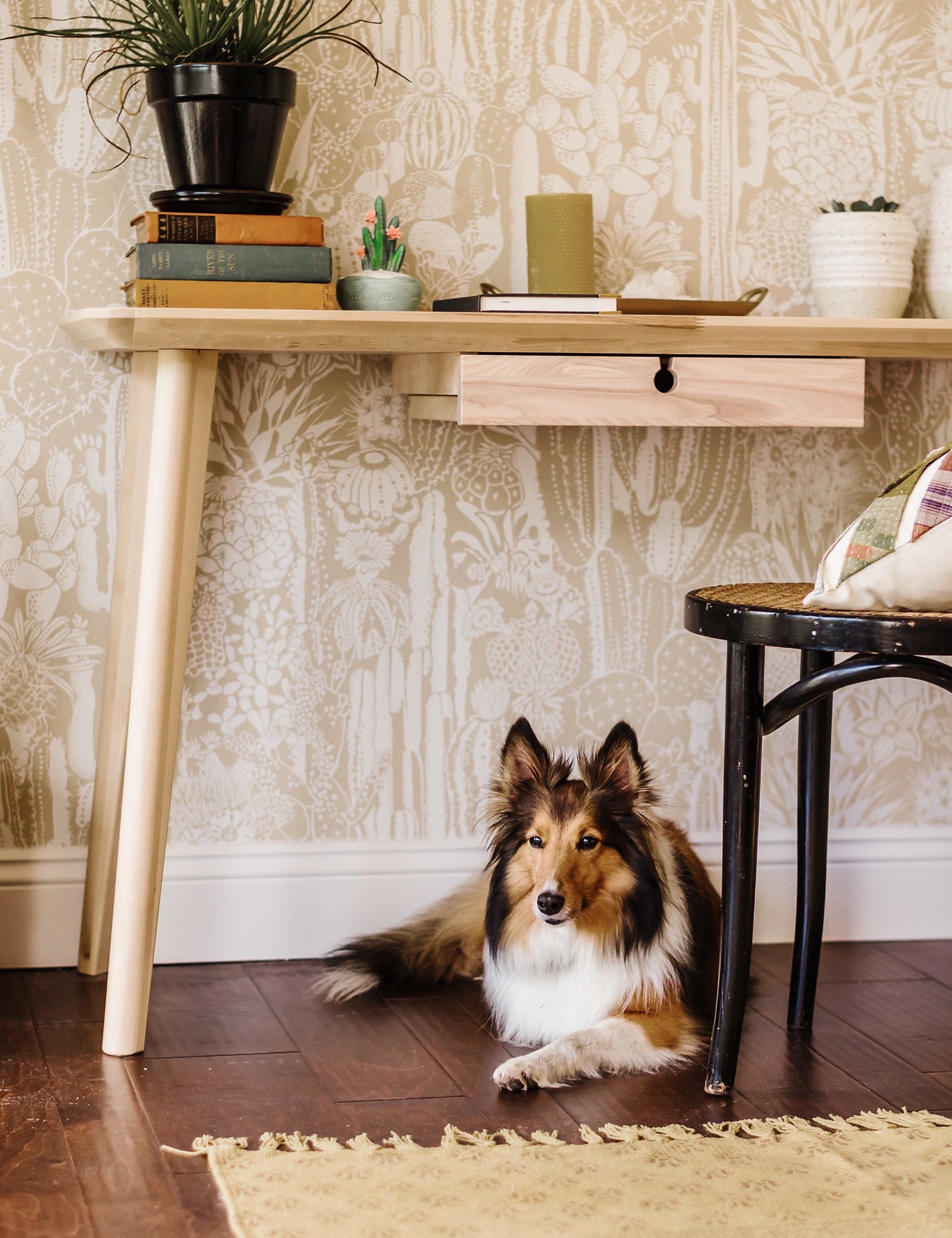 Cactus Spirit Desert