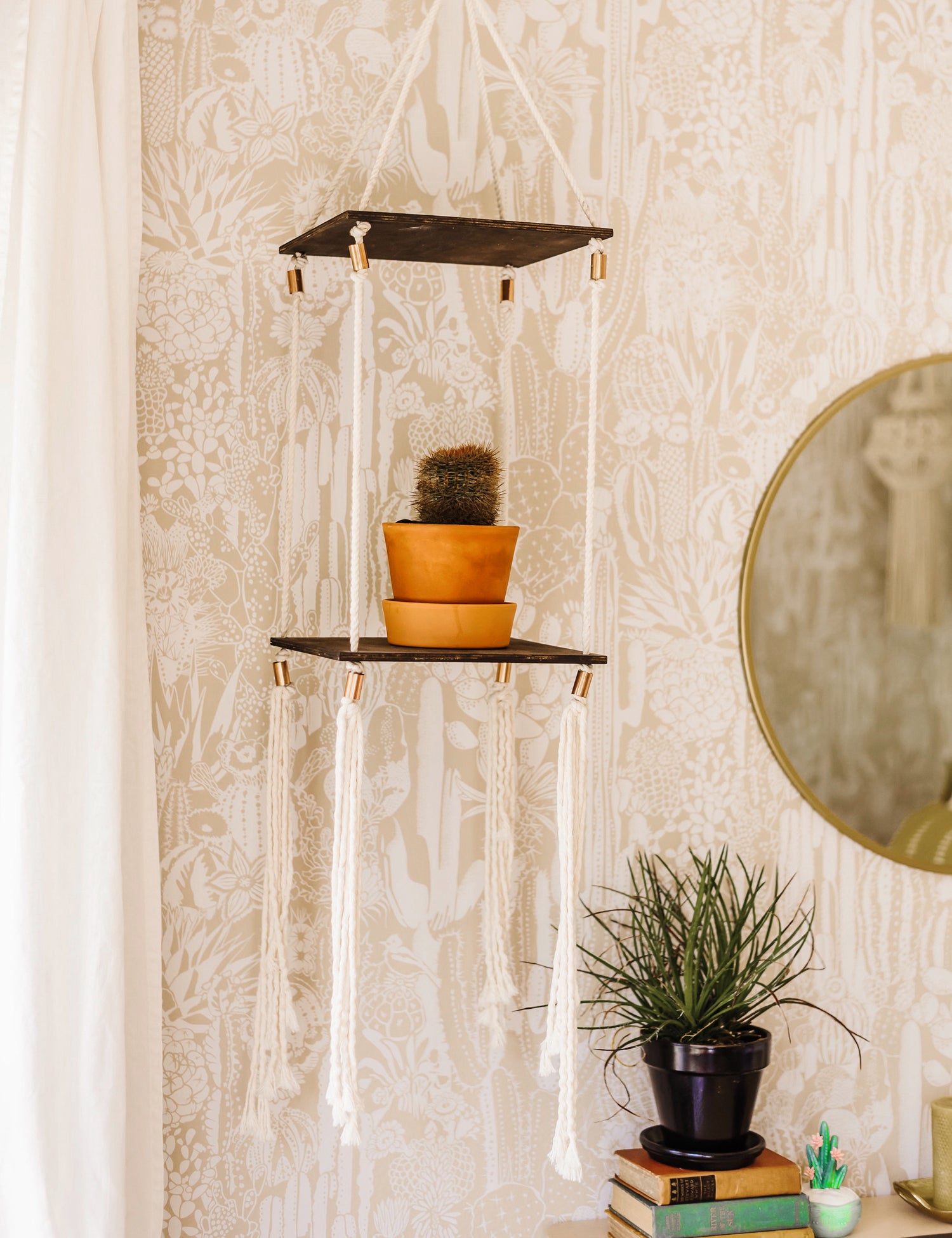 Cactus Spirit Desert