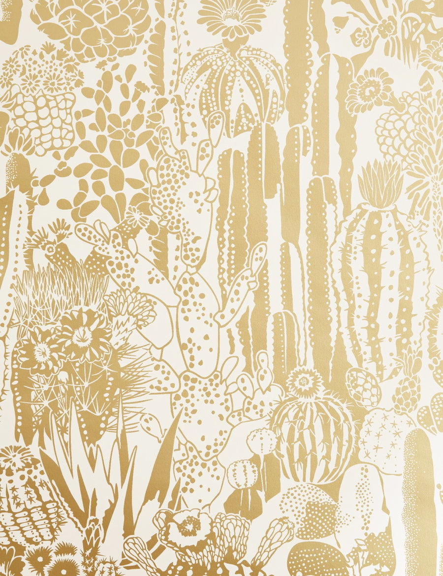 Cactus Spirit Sphinx