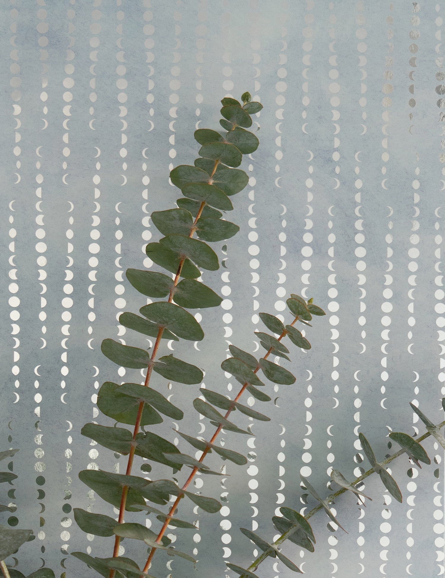 Earthlight Metallic Frosted