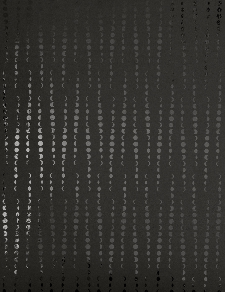 Earthlight Metallic Onyx