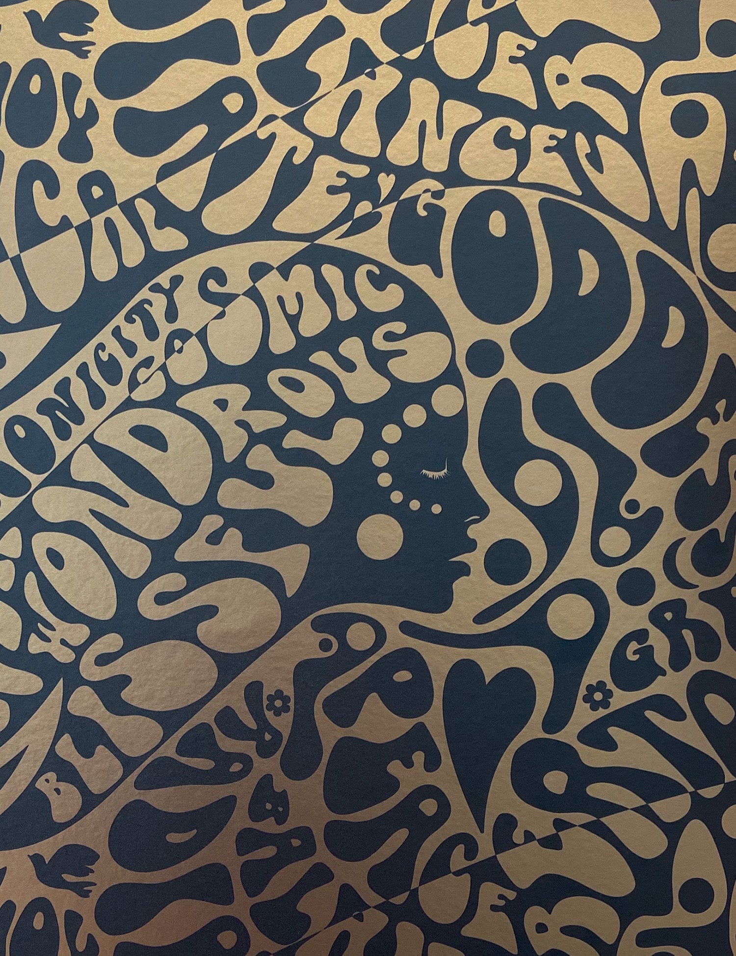 She's Cosmic Metallic Evermore