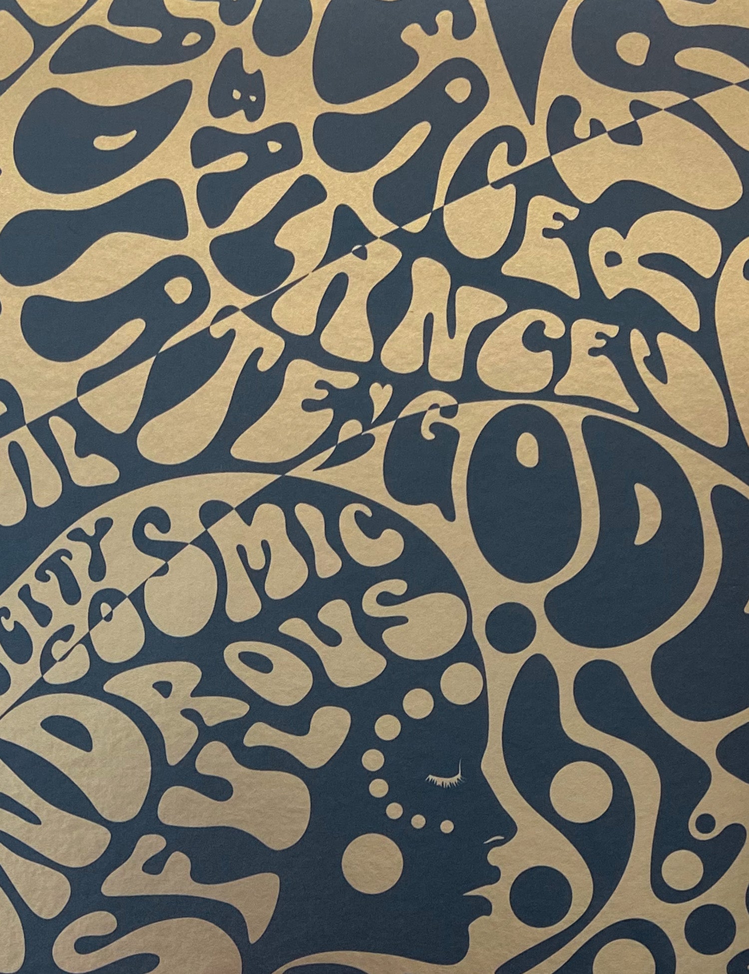 She's Cosmic Metallic Evermore