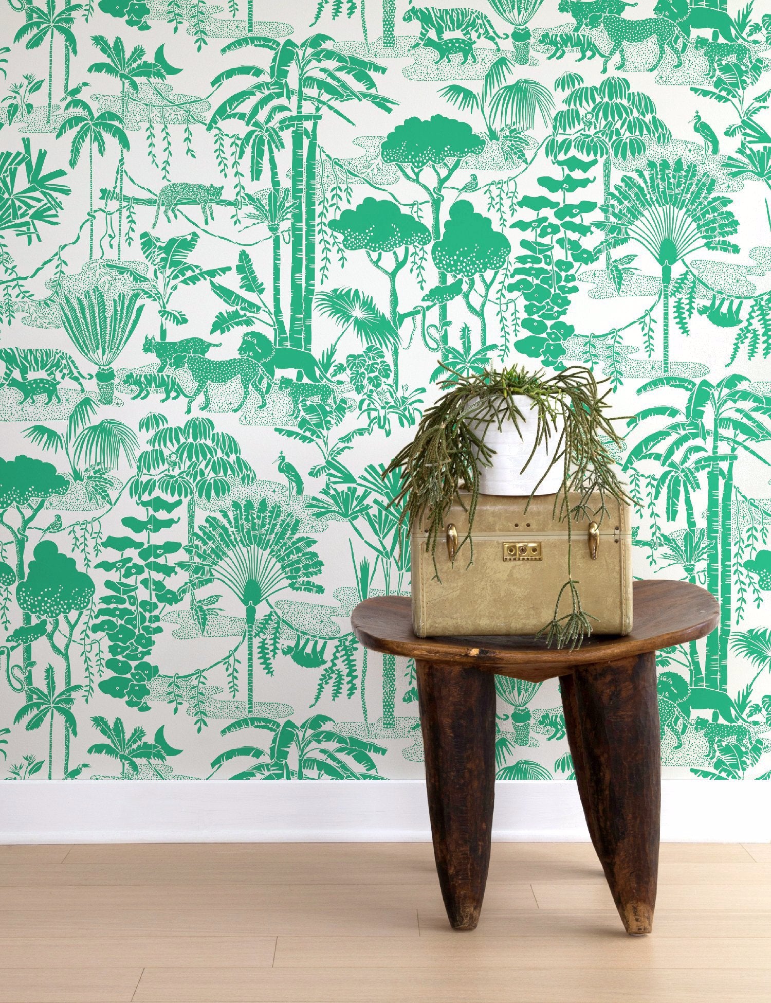 Jungle Dream Monteverde