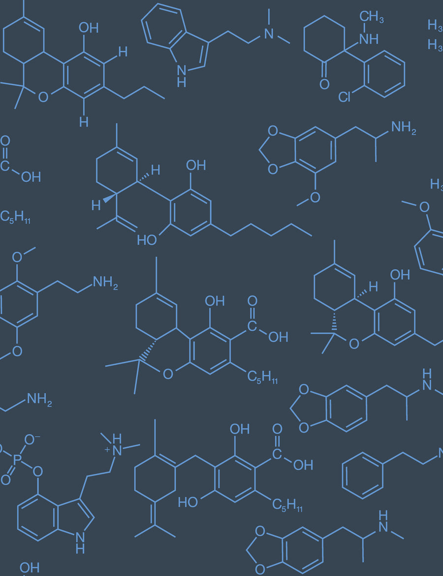 Magic Molecules Night