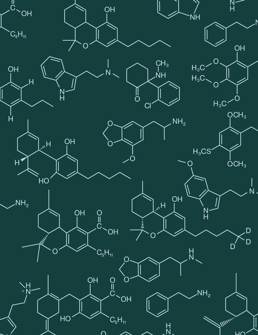 Magic Molecules Scarab
